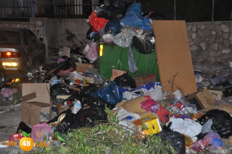 trash lud 907 (12).JPG